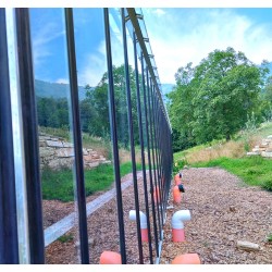 Mountain mandarine: Fiori di canapa coltivati in greenhouse con metodo acquaponico