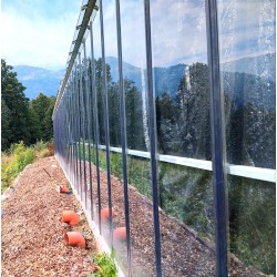 Mountain mandarine: Fiori di canapa coltivati in greenhouse con metodo acquaponico