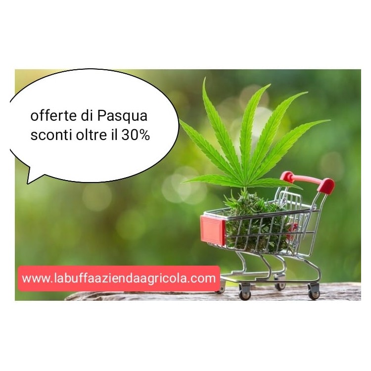 Offerta di Pasqua 2024